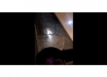 한국야동 >태국출장녀 몰카 | 한국야동